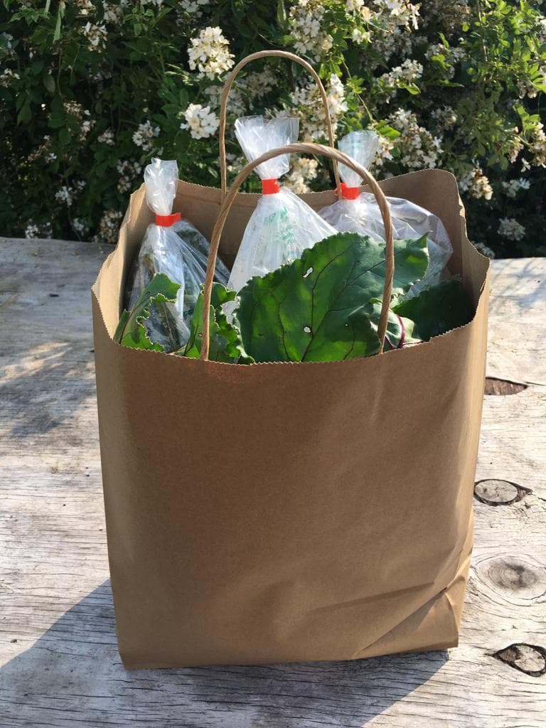 Bocs mawr / Large veg box