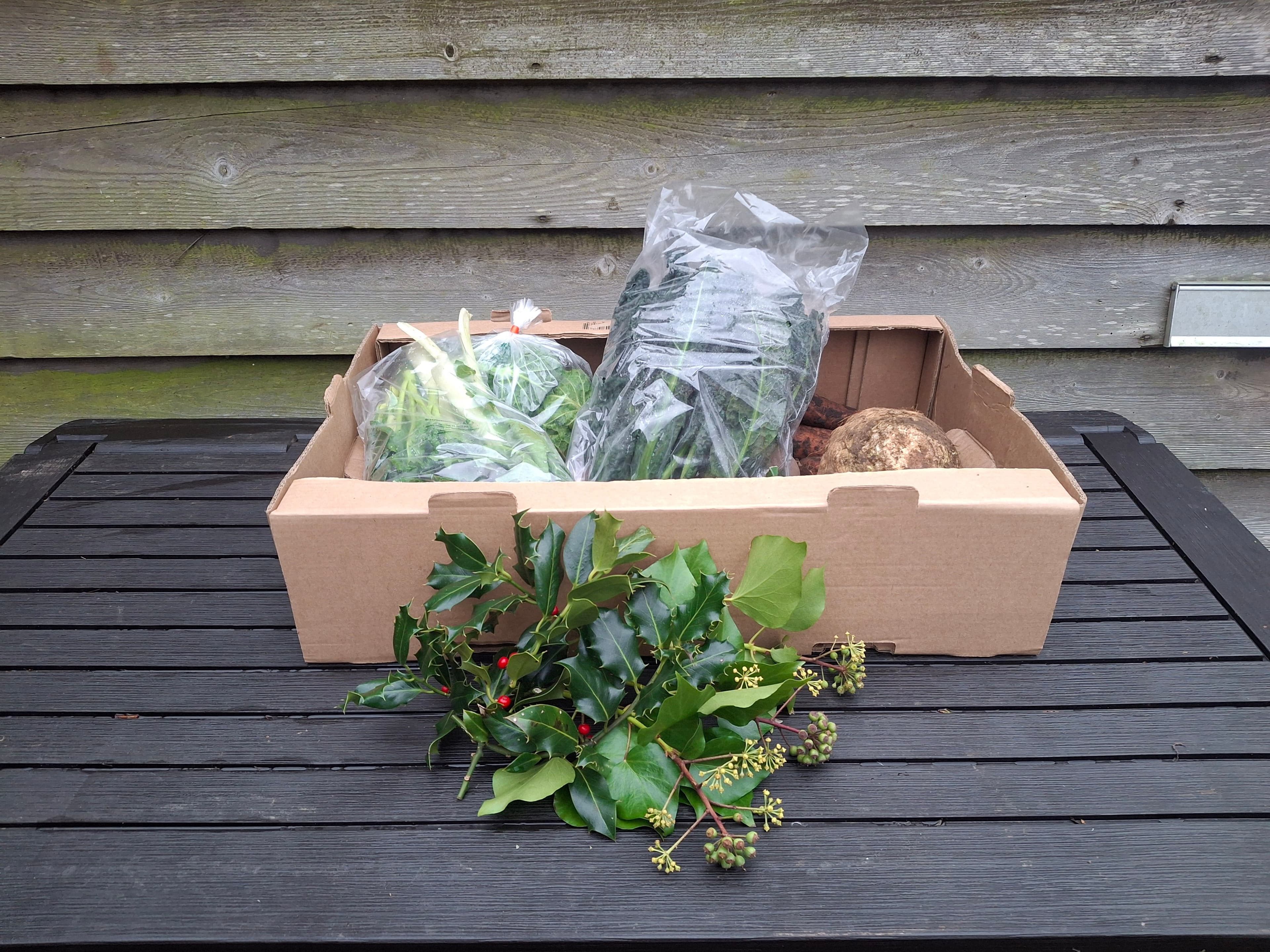 Bocs 'dolig mawr / Large xmas box