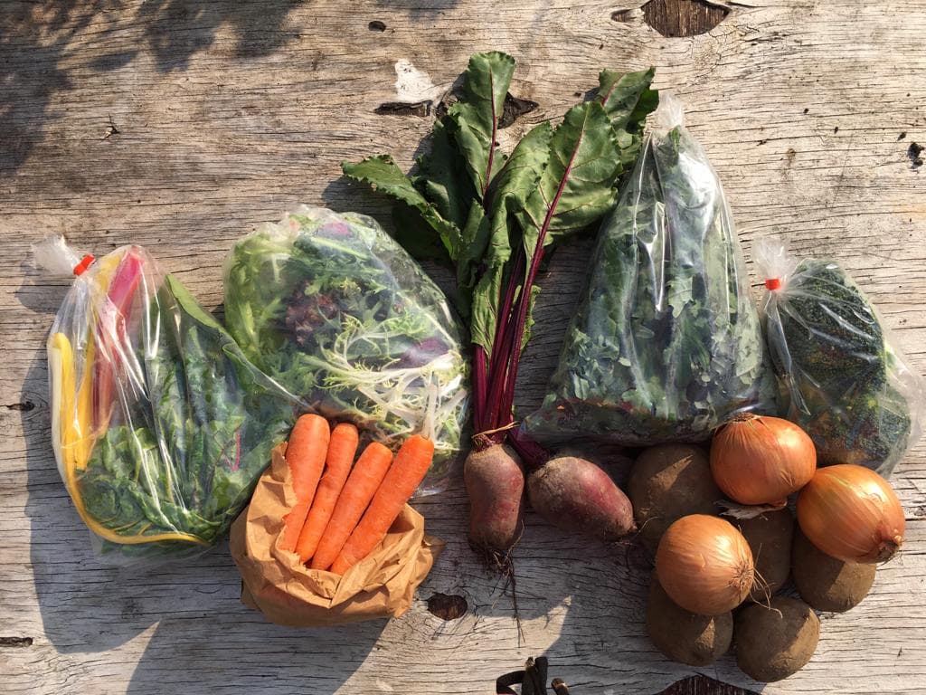 Bocs cyfreol / Standard veg box