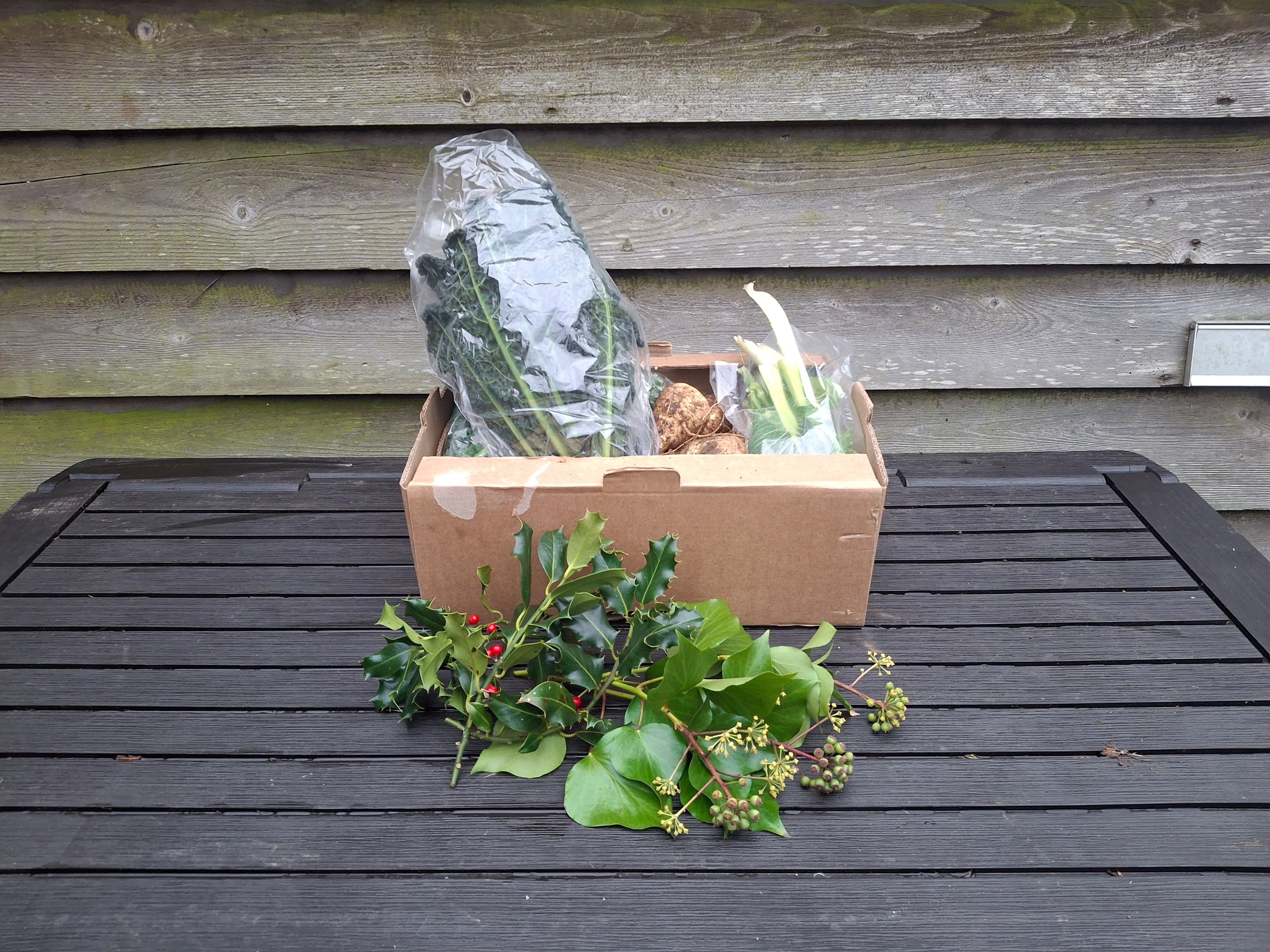 Bocs 'dolig cyfreol / Standard xmas box